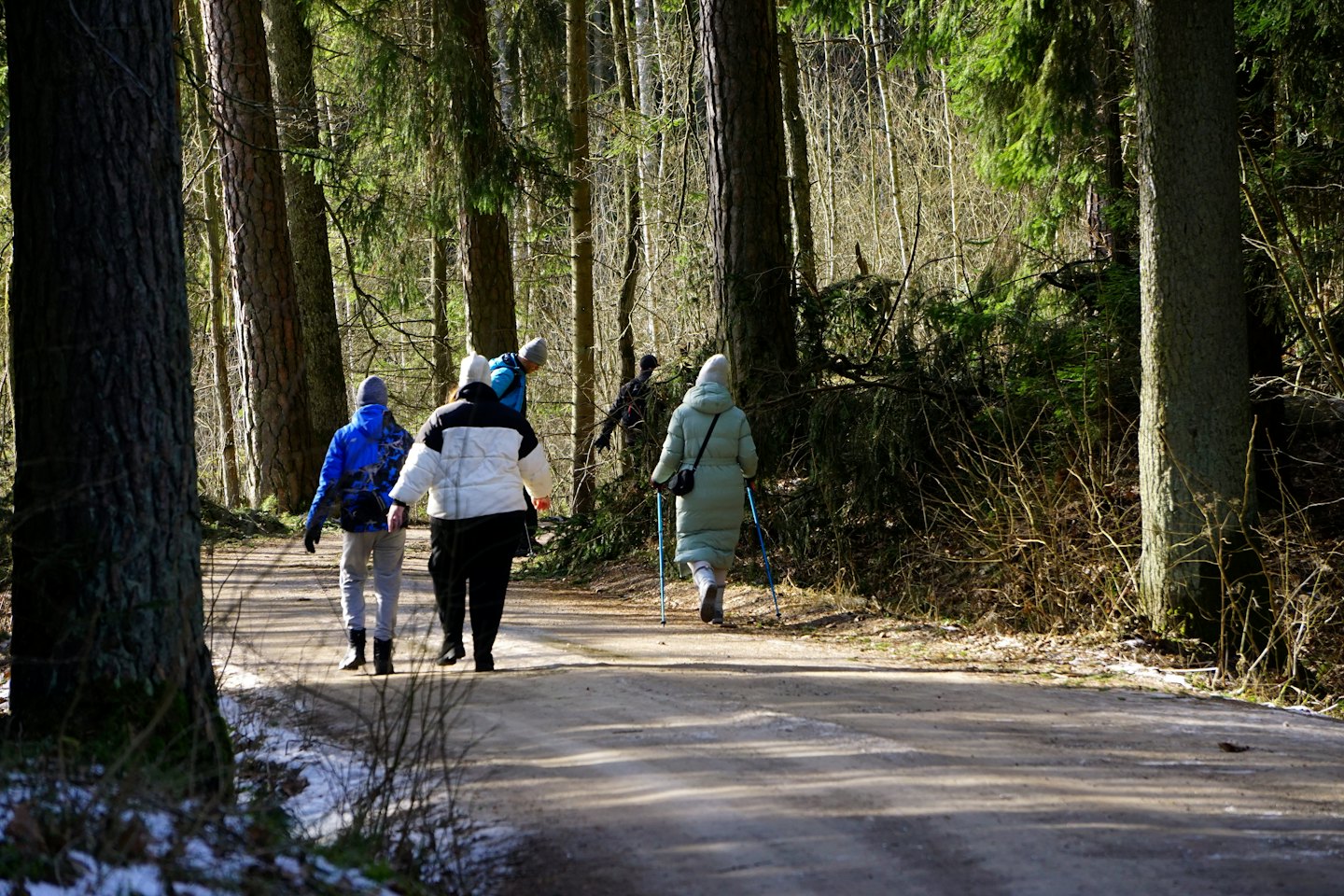 Menschen in Winterkleidung Nordic Walken auf einem Waldweg.